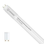 Ledvance LED Buis T8 Performance (UN) Ultra Output 15W 2400lm - 865 Daglicht | 120cm - Vervangt 36W